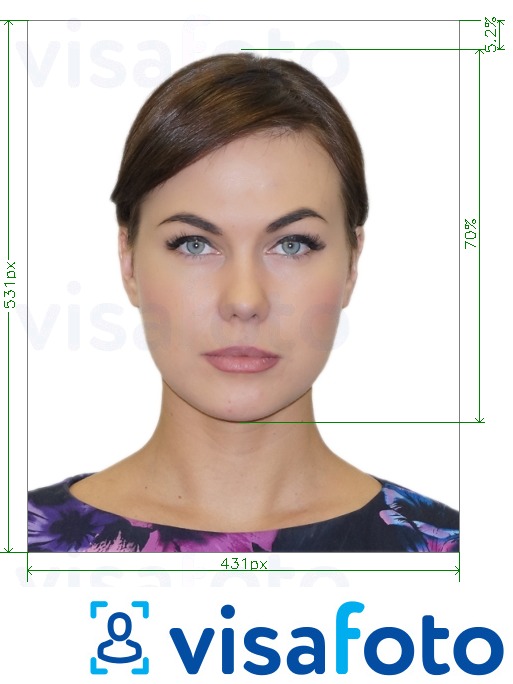 Образец фотографии для Бразилия Паспорт онлайн 431x531 px с точными размерами