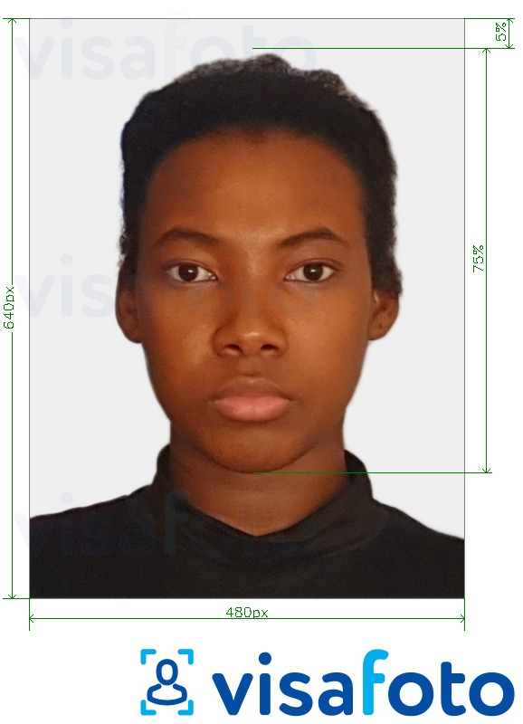 Образец фотографии для Багамы паспорт 480x640 пикселей с точными размерами