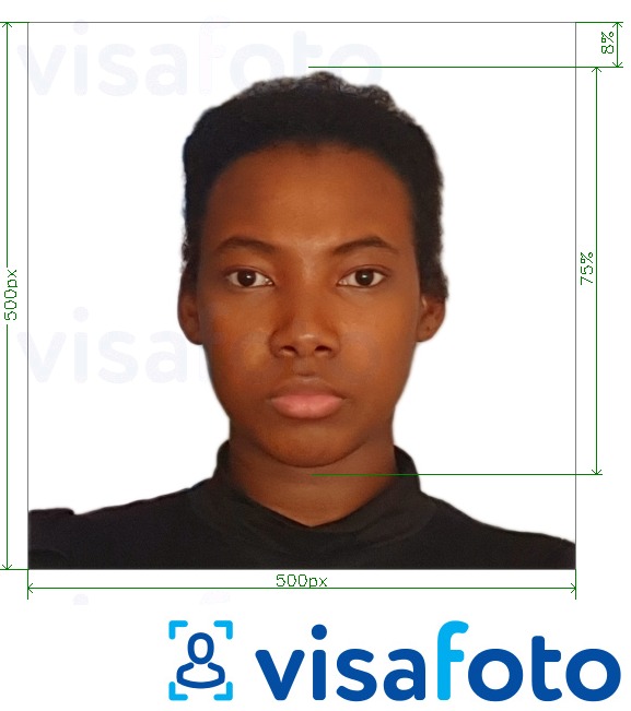 Образец фотографии для Камерунская виза онлайн 500x500 px с точными размерами