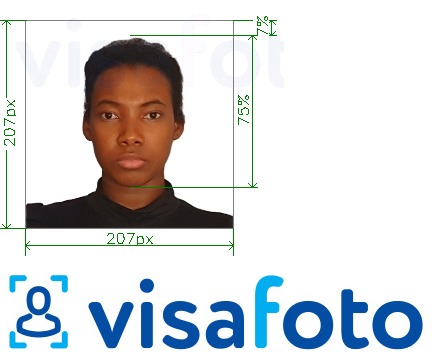 Образец фотографии для Кения виза 207х207 пикселей с точными размерами