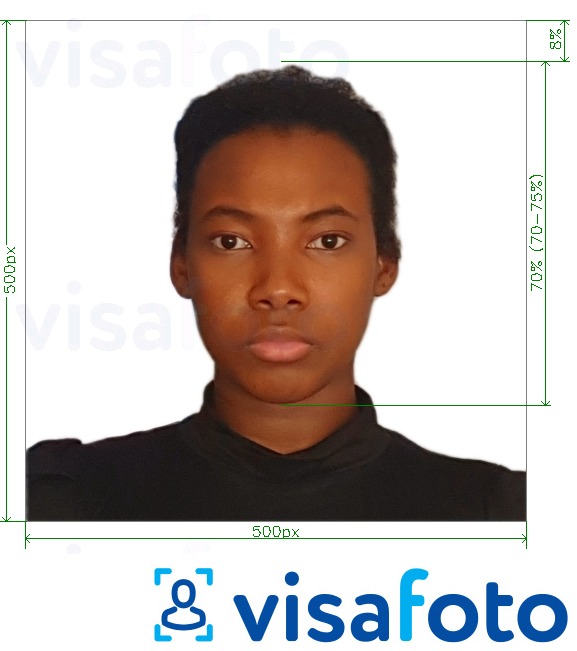 Образец фотографии для Кения е-виза онлайн 500x500 пикселей с точными размерами