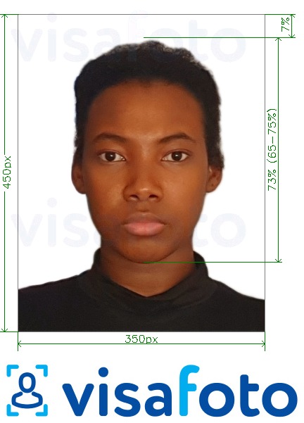 Образец фотографии для Нигерия онлайн виза 200-450 пикселей с точными размерами