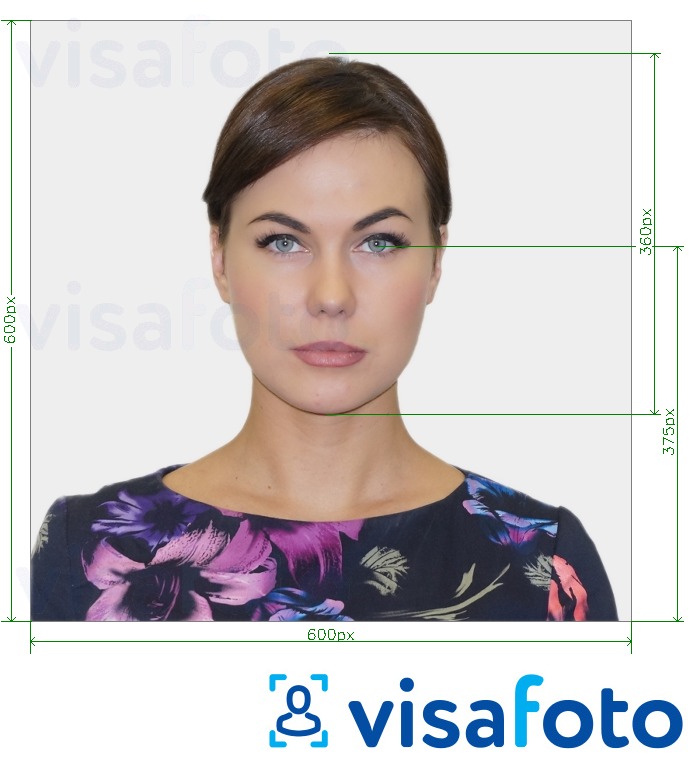 Образец фотографии для Удостоверение личности с фотографией Университета ЛеТурно 360x375 пикселей с точными размерами